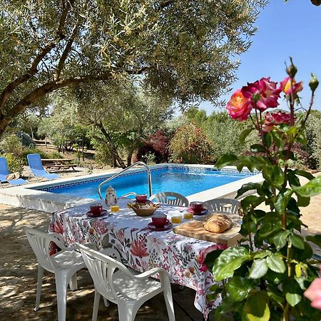 Refugio Andaluz Con Piscina Entre Olivos Villanueva de Tapia מראה חיצוני תמונה