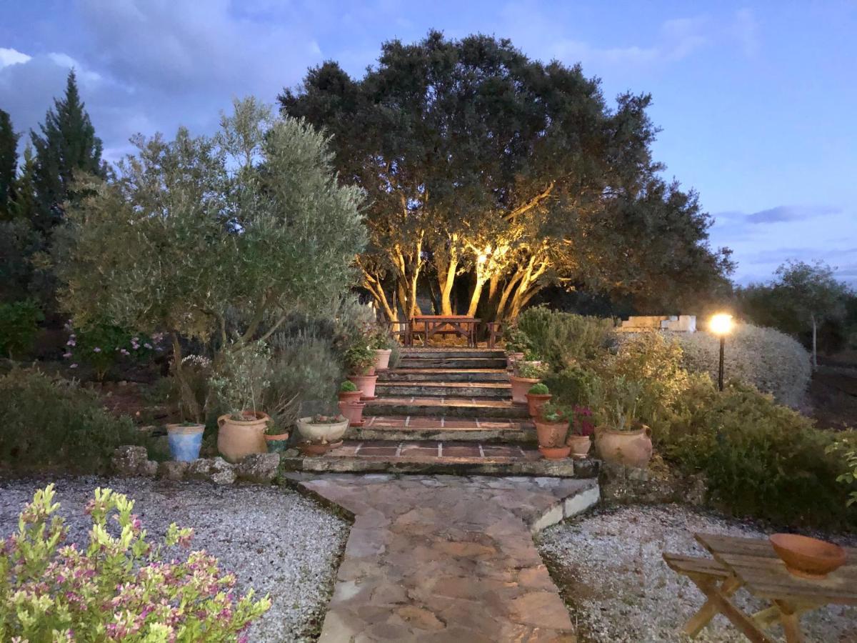 Refugio Andaluz Con Piscina Entre Olivos Villanueva de Tapia מראה חיצוני תמונה