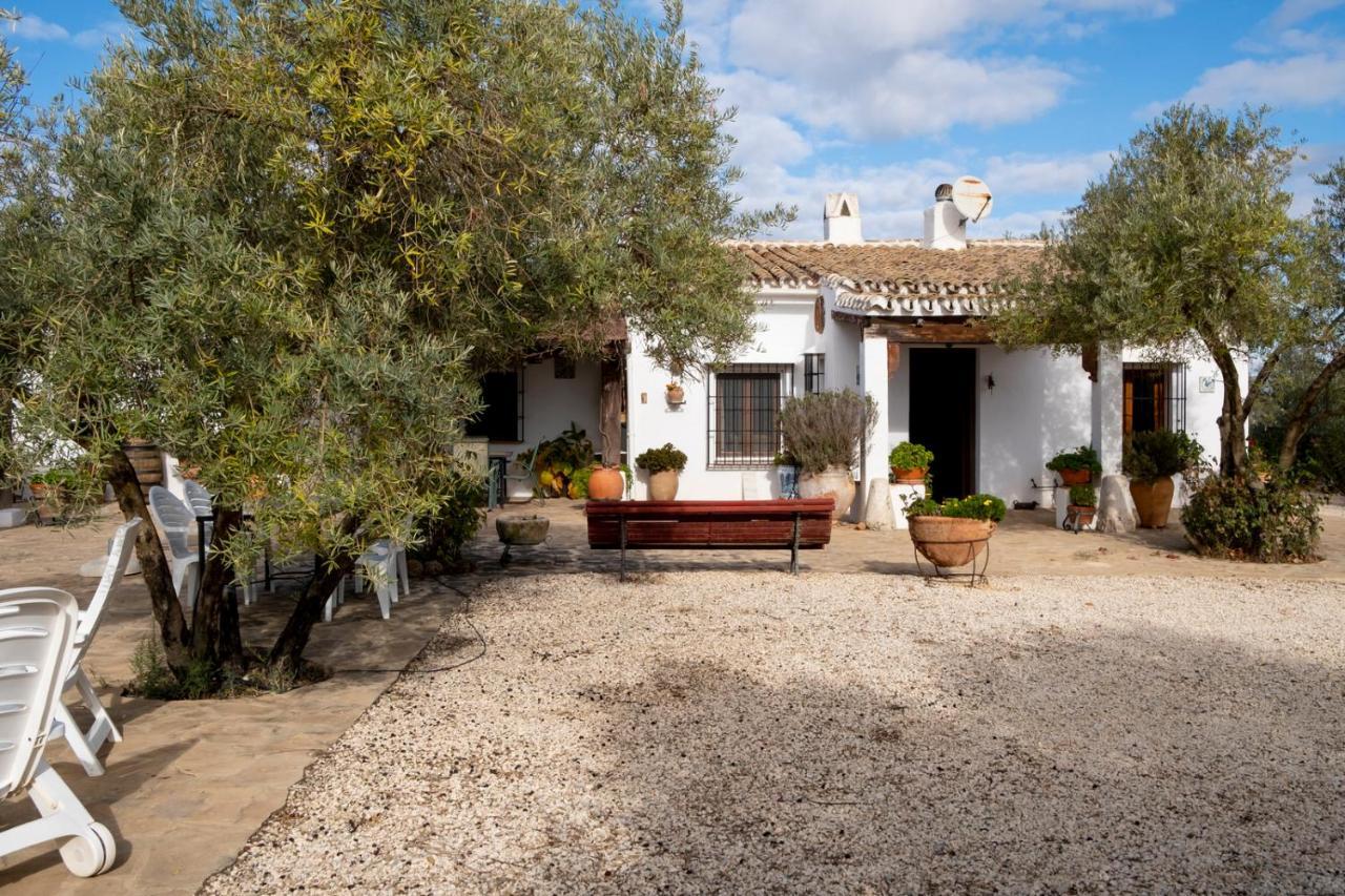 Refugio Andaluz Con Piscina Entre Olivos Villanueva de Tapia מראה חיצוני תמונה