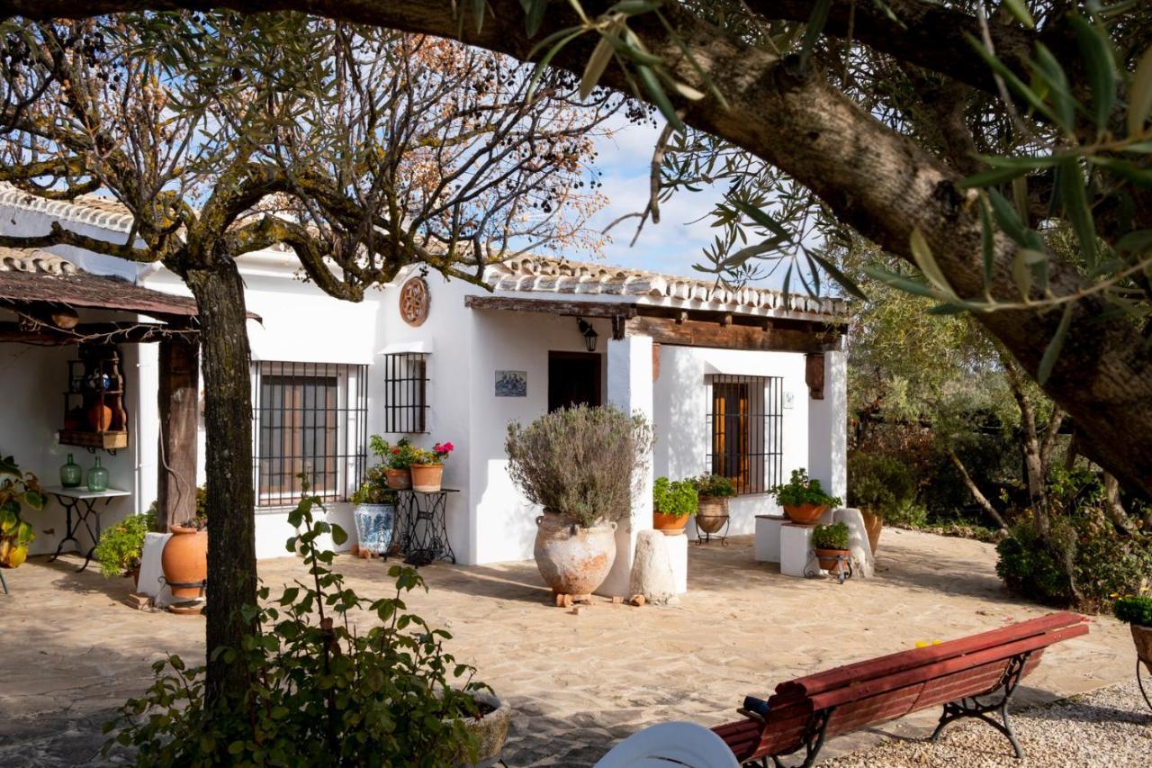Refugio Andaluz Con Piscina Entre Olivos Villanueva de Tapia מראה חיצוני תמונה