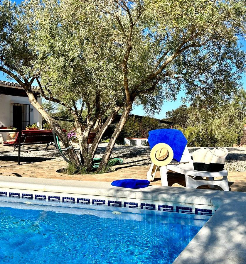 Refugio Andaluz Con Piscina Entre Olivos Villanueva de Tapia מראה חיצוני תמונה