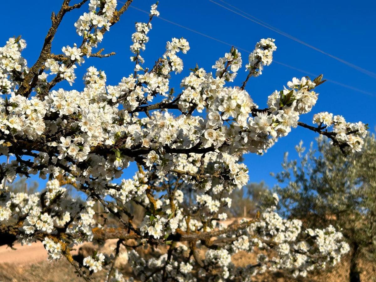 Refugio Andaluz Con Piscina Entre Olivos Villanueva de Tapia מראה חיצוני תמונה