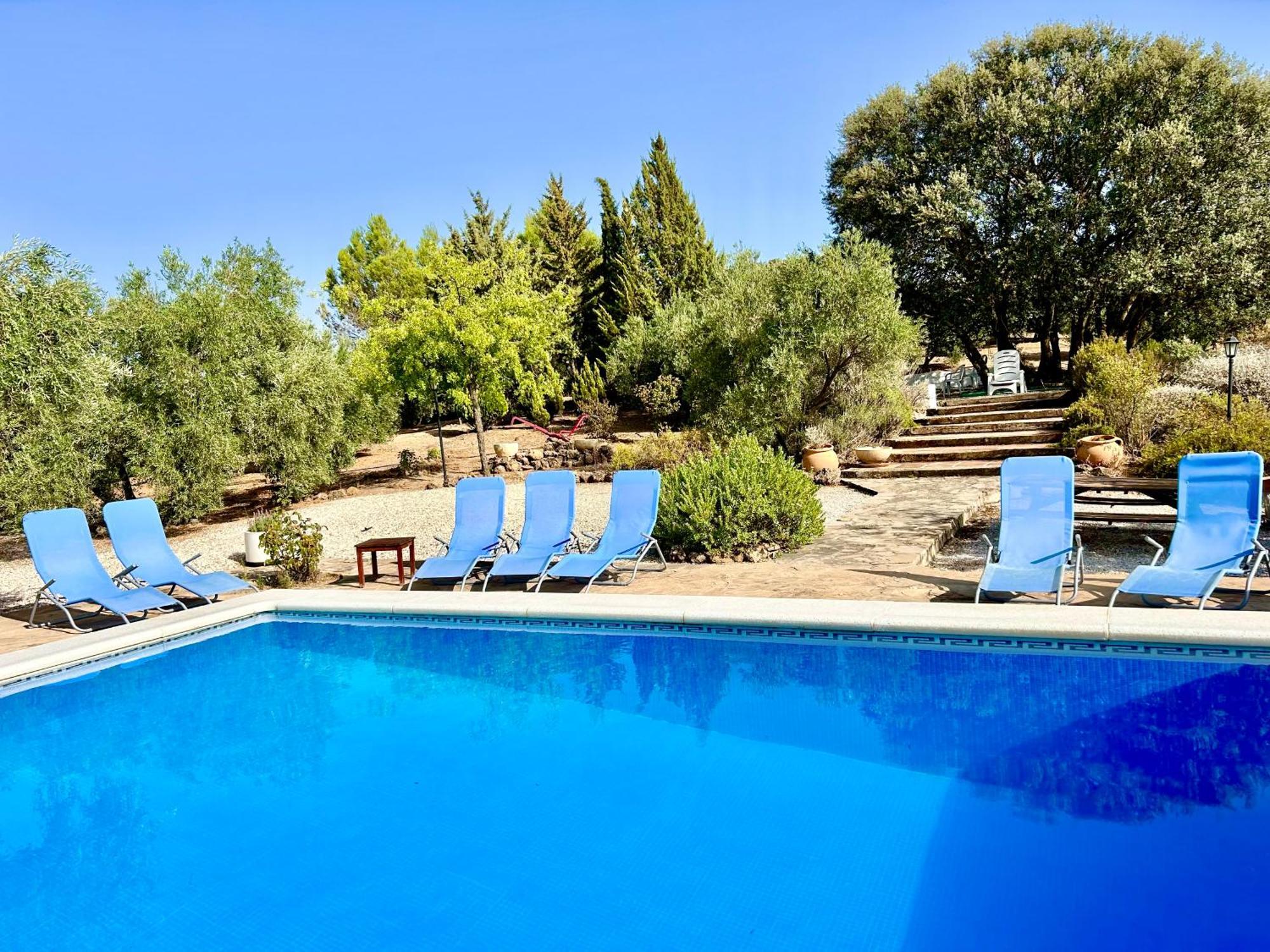 Refugio Andaluz Con Piscina Entre Olivos Villanueva de Tapia מראה חיצוני תמונה